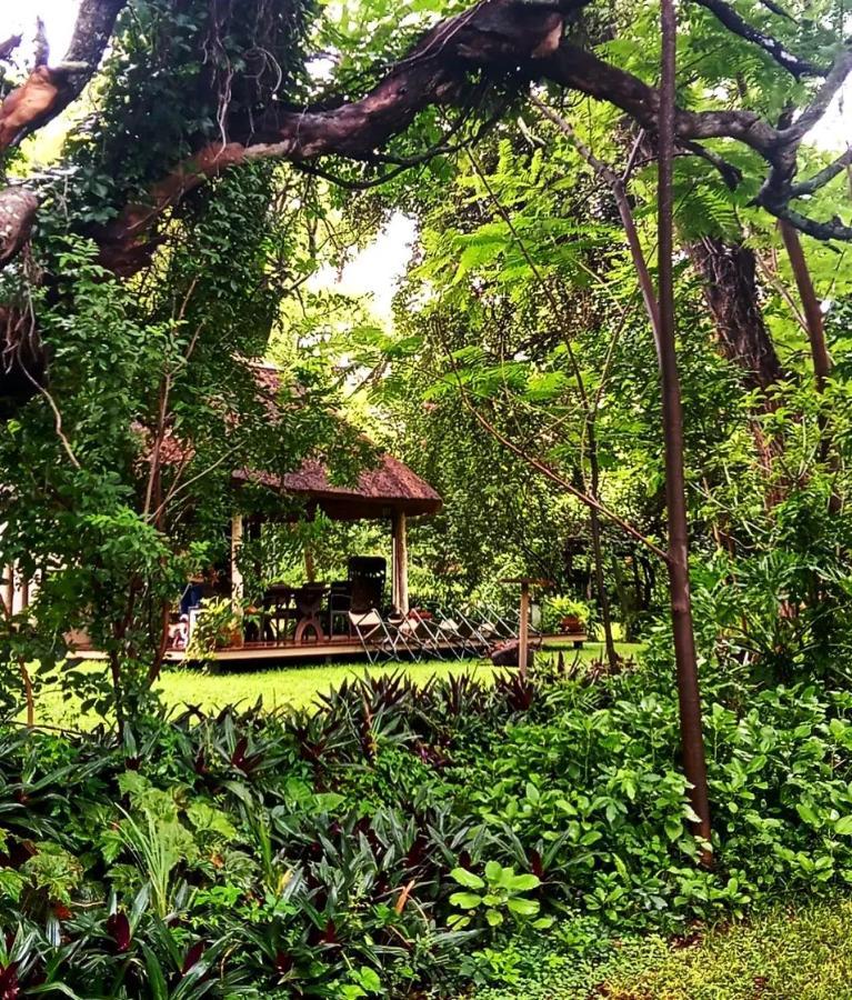 The Maun Studios Екстериор снимка